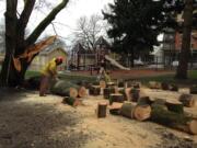 Jason Oldham, a grounds specialist with Vancouver Public Works, cuts up wood from a felled maple tree for disposal after a wind storm knocked most of it down.