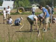 Volunteers from Portland's Catlin Gabel school plant onions last week at 78th Street Heritage Farm.