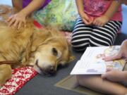 Children practice their reading skills with therapy dog Crunch, a 7  1/2  year-old golden retriever, at the Vancouver Community Library Wednesday.