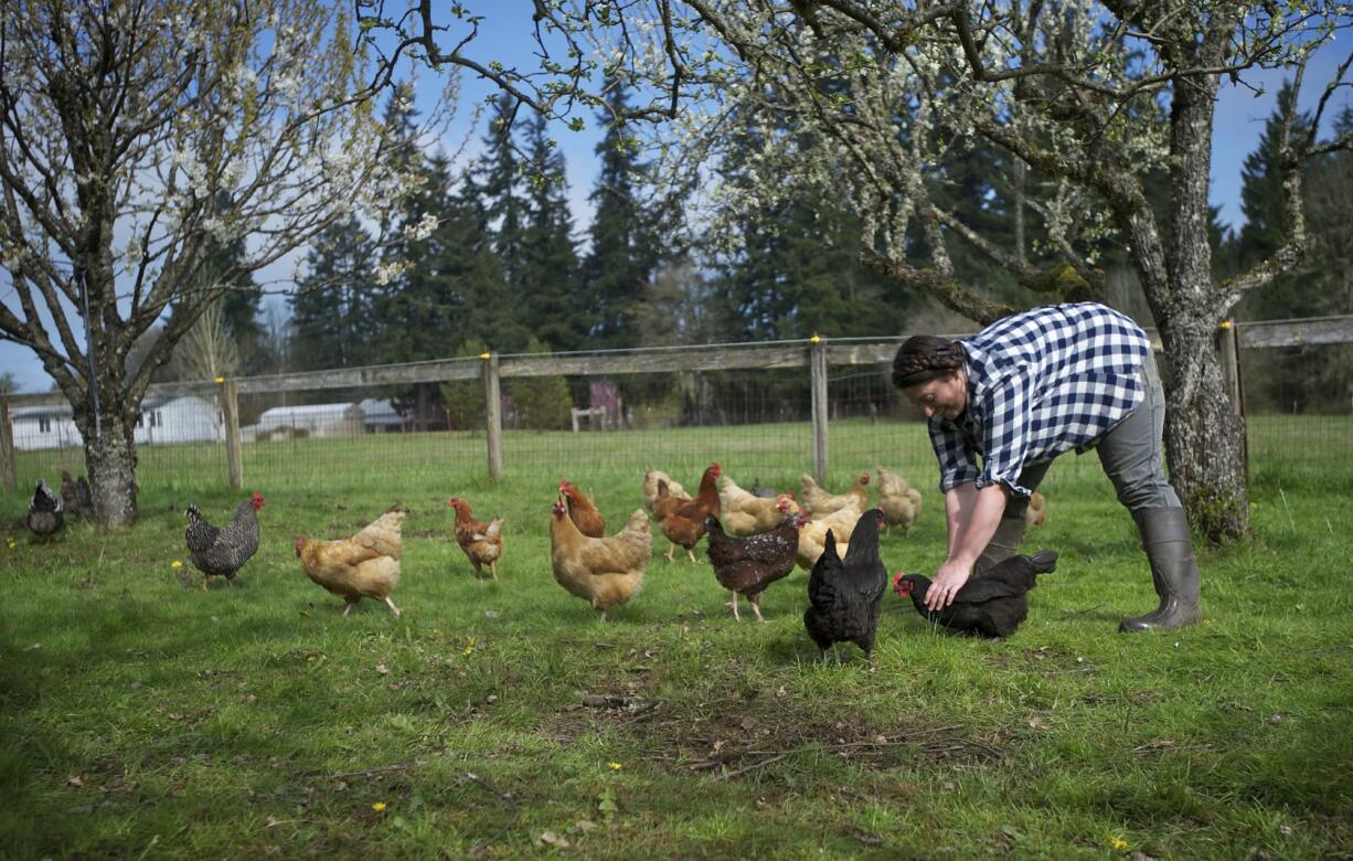 Jennifer Van Wey tends a flock of chickens at Quackenbush Farm in Ridgefield.