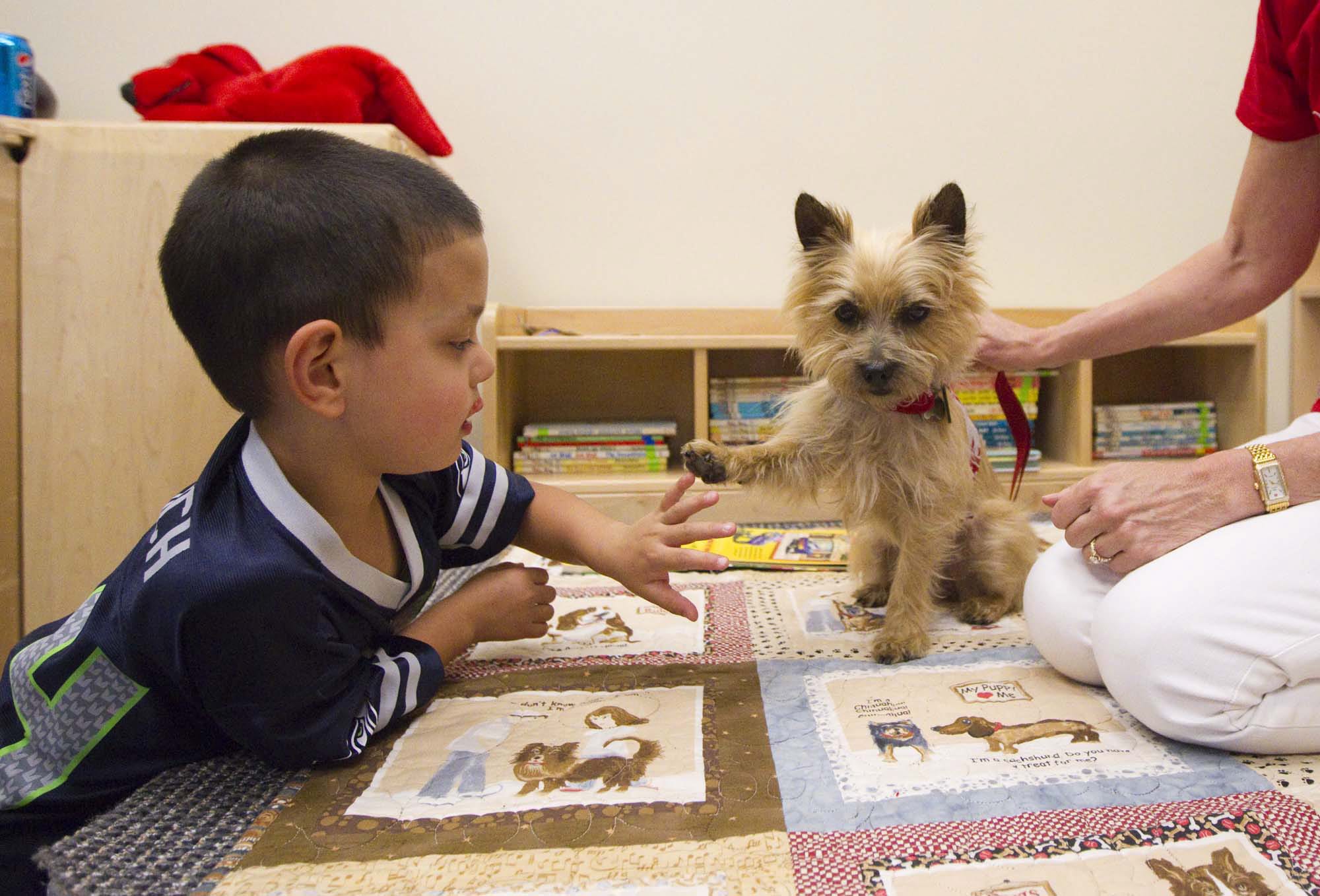 Elijah Lennick gets a high-five from Stella, a Norwich terrier therapy dog at an open house, part of the 25th anniversary celebration of WSUV at the campus in Vancouver.