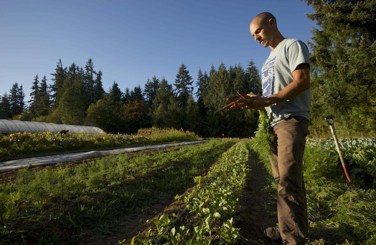 Matt Van Wey holds a bunch of carrots harvested this week at Quackenbush Farm in Ridgefield.