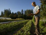 Matt Van Wey holds a bunch of carrots harvested this week at Quackenbush Farm in Ridgefield.