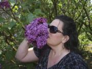 Amy Caulder of Salem, Ore., enjoys a lilac variety called Glory on Sunday at the Hulda Klager Lilac Gardens in Woodland. The lilac gardens display many varieties of the flower, as well as the Victorian farmhouse once belonging to lilac hybridizer Hulda Klager.