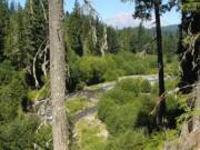 In 2013, Columbia Land Trust purchased about 2,300 acres of land on the east side of Pine Creek near Mount St. Helens. The Vancouver-based nonprofit on Monday announced a conservation easement and purchase that will together secure another 3,000 acres west of Pine Creek.