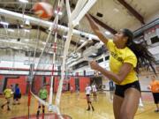 Battle Ground junior Brooke Van Sickle hits during practice on Tuesday September 2, 2014.