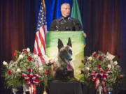 Vancouver police Officer Jack Anderson eulogizes his dog, Ike, at a public memorial service in Vancouver on Tuesday. Ike, a 6-year-old Belgian malinois, had been with the department since 2012.