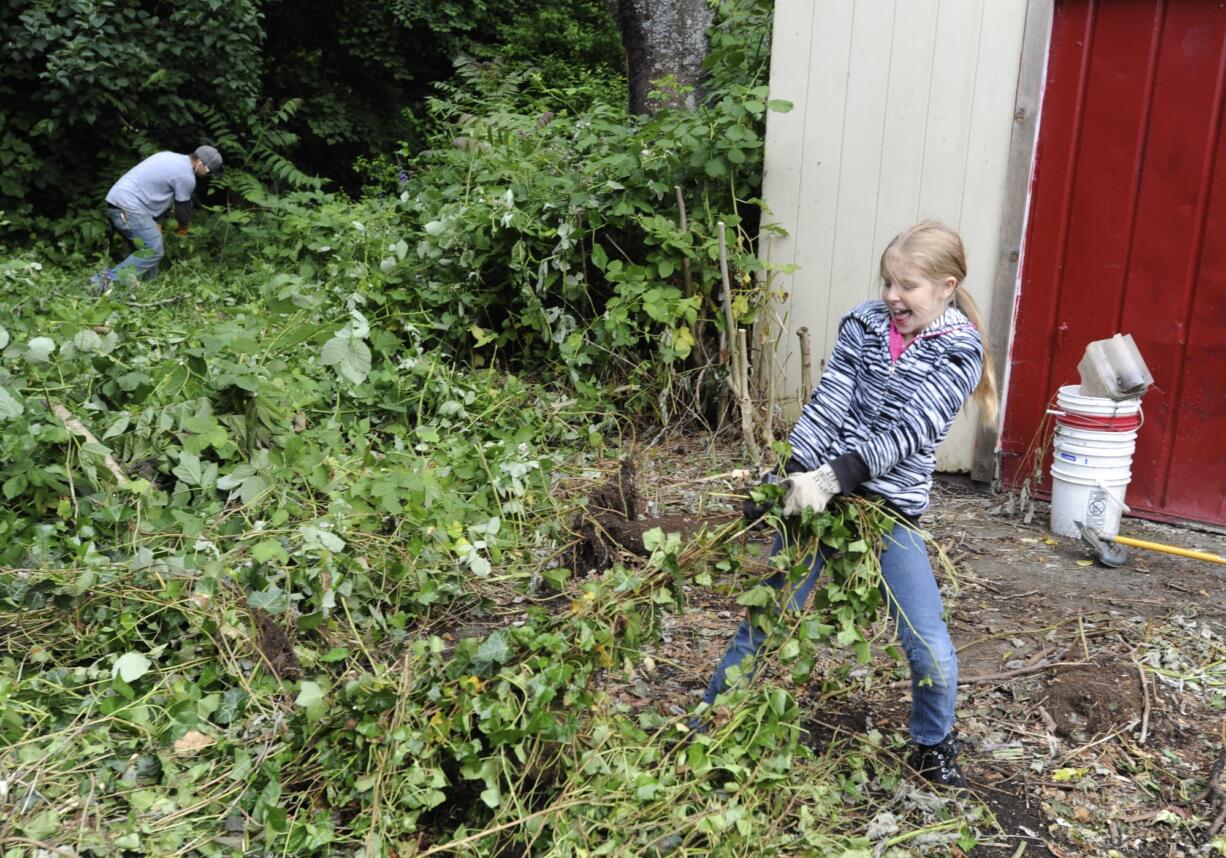 Lilly Simmons pulls out overgrown ivy at her grandfather's house in Vancouver.