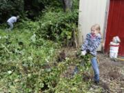 Lilly Simmons pulls out overgrown ivy at her grandfather's house in Vancouver.