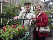 Ron and Arlene Trotman shop Sunday at Shorty's Garden and Home nursery in Vancouver.