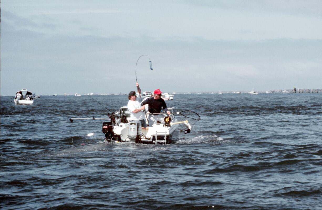 Anglers at Buoy 10 at the Columbia River mouth likely will fill their chinook guideline before Labor Day, which is Sept.