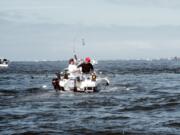 Anglers at Buoy 10 at the Columbia River mouth likely will fill their chinook guideline before Labor Day, which is Sept.