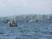 Boats were thick on the lower Columbia River when the spring chinook season was open in April.