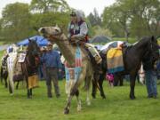 Four horses are lead around the crowd during the Riderless Horse Ceremony at the 17th Annual Nez Perce Chief Redheart Memorial Ceremony at the Fort Vancouver National Historic Site on Saturday.