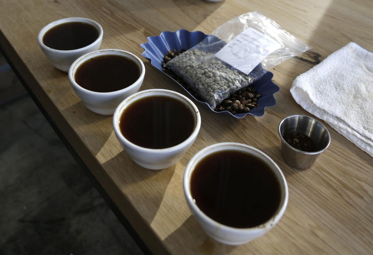 A row of brewed coffee is seen in Oakland, Calif, in 2013. Scientists have woken up and smelled the coffee -- and analyzed its DNA. They found that what we love about coffee -- the caffeine -- is a genetic quirk, not related to the caffeine in chocolate or tea. &quot;It ?s an accident that has been frozen in place very likely by the influence of natural selection,&quot; says University of Buffalo evolutionary biologist Victor Albert. He and more than 60 other researchers from around the world mapped out genetic instruction book of java.