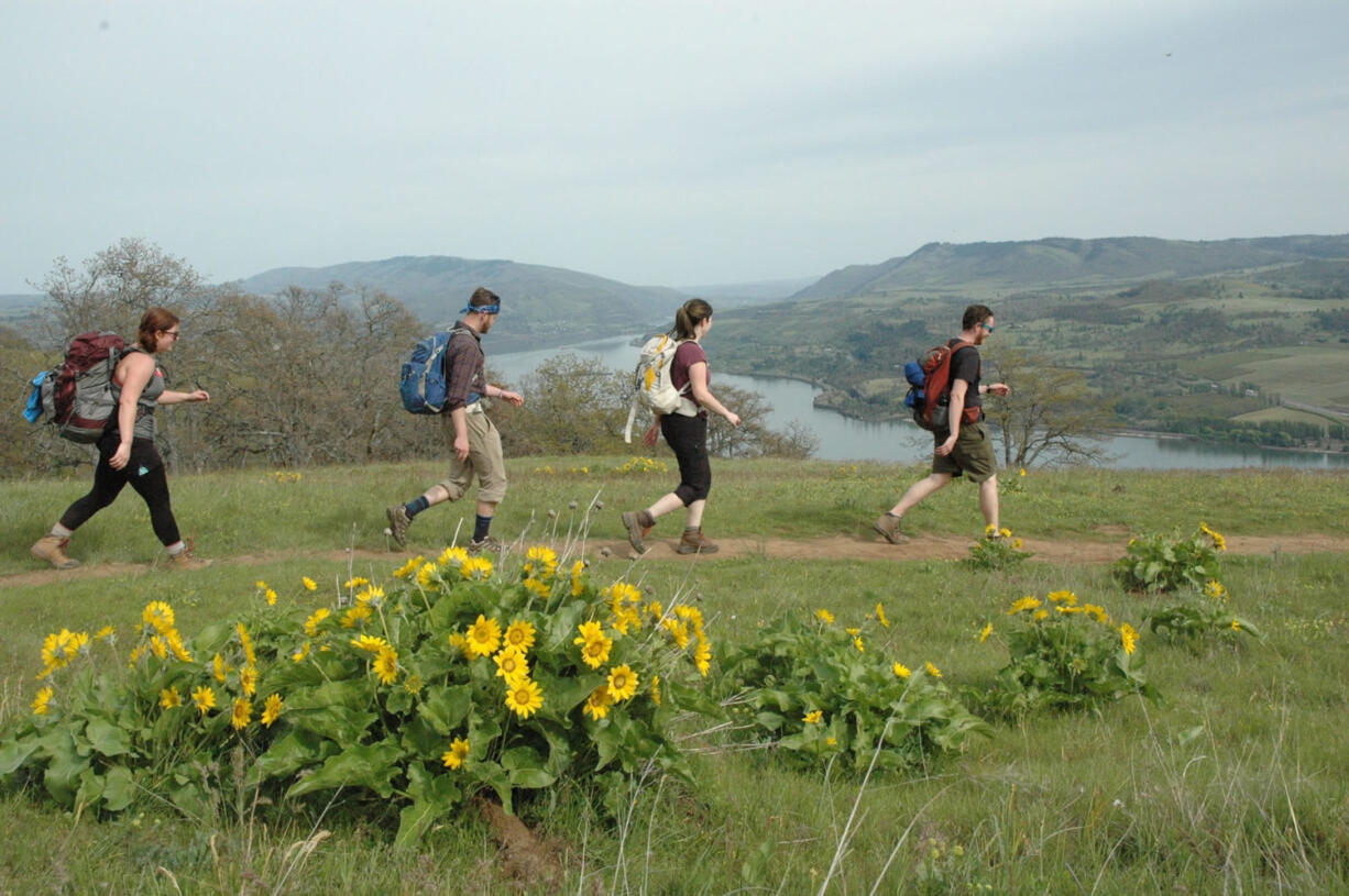 Hikes enjoy a big view to the east while hiking toward Coyote Wall in the Columbia River Gorge National Scenic Area.