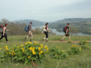 Hikes enjoy a big view to the east while hiking toward Coyote Wall in the Columbia River Gorge National Scenic Area.