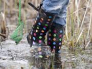 Boots and nets were a must during the 9th Annual Critter Count at the Washington State University Vancouver campus on April 11, 2009.