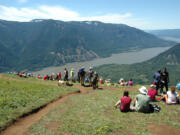 Hiking to the summit of Dog Mountain in the Columbia Gorge is a classic Memorial Day weekend trip enjoyed by thousands if the weather is nice.