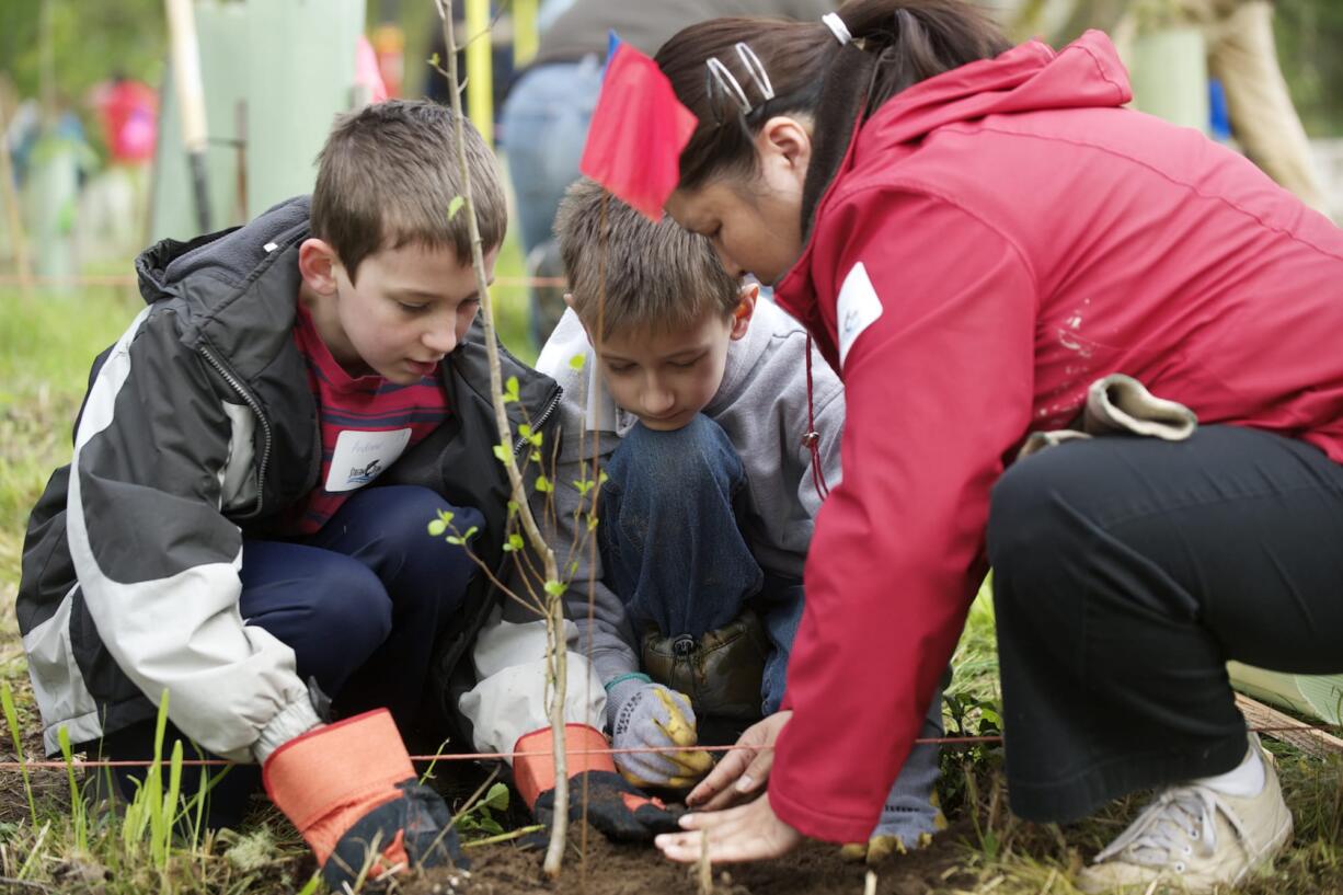 Cub Scouts plant a tree during the 14th annual Earth Day EcoFair Tree Planting event at Salmon Creek Park in 2013.