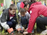 Cub Scouts plant a tree during the 14th annual Earth Day EcoFair Tree Planting event at Salmon Creek Park in 2013.