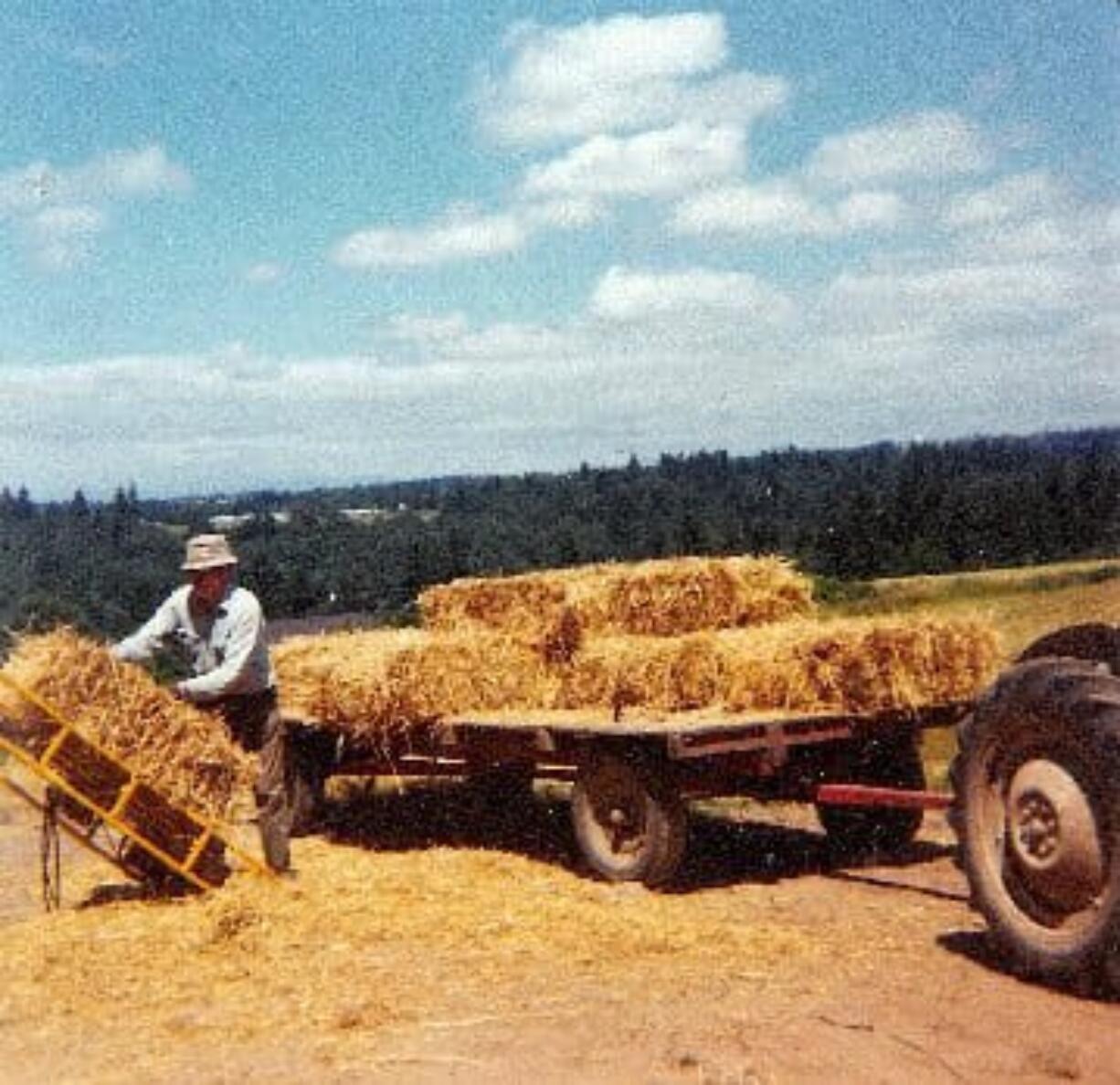 Courtesy Suzy Foley
Hubert Foley bales hay.