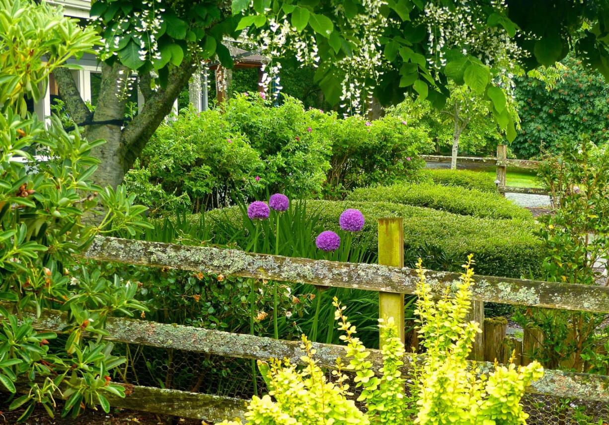 This June 2, 2015 photo shows allium, rhododendron, berry-laden shrubs and an Asian pear tree that provide pollen and syrup for pollinators plus food and shelter the year-'round for birds, animals and other insects on a property near Langley, Wash. Plants can be more than decorations and are useful to improve the soil, attract birds, animals and insects.