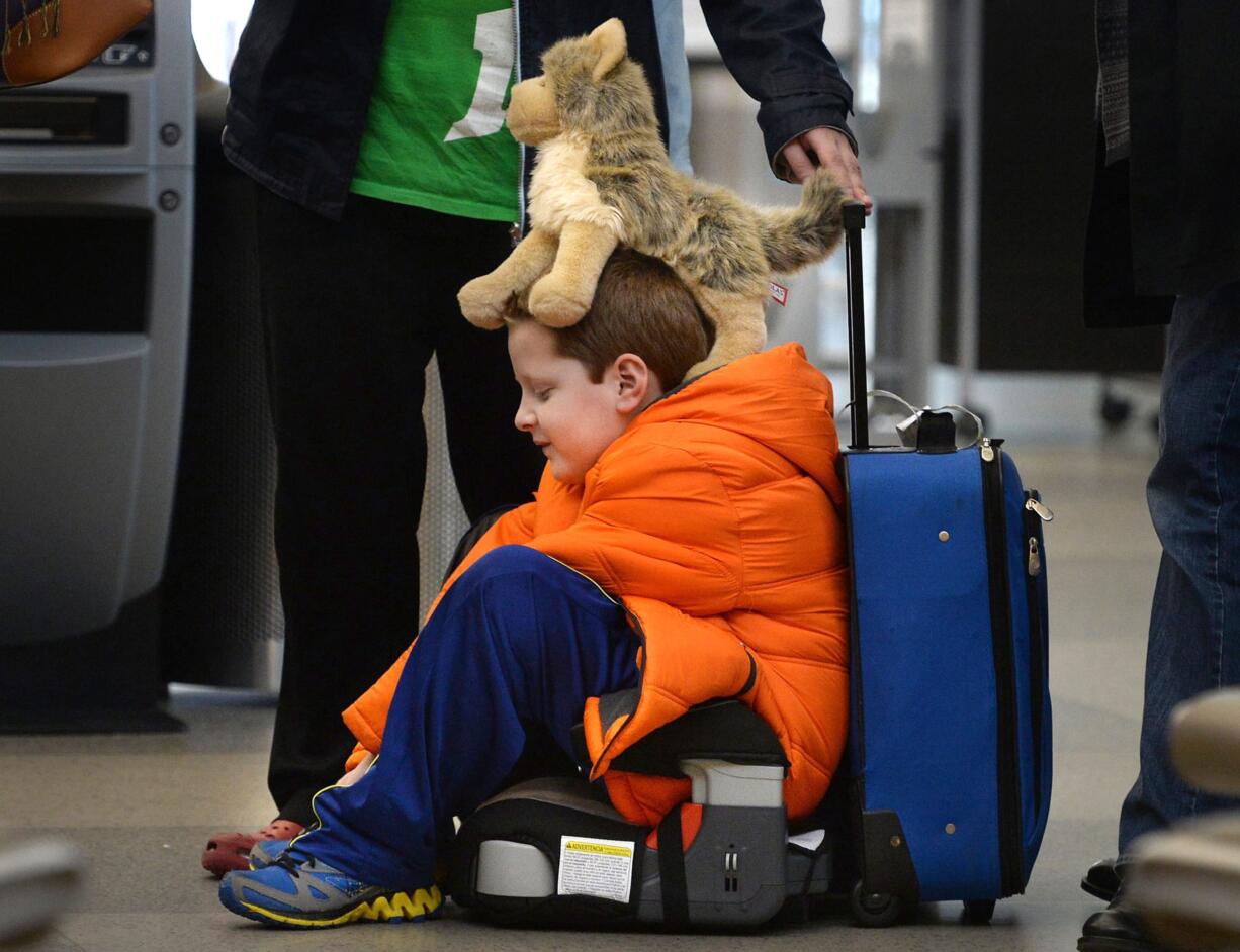 David Welborn, 7, sits in the lost luggage line at the Delta Airlines desk at RDU International Airport on Tuesday. With his trusty dog &quot;Wolfbaby&quot; perched on his head, he was with his mother and about 15 other people trying to find their bags after a cross country flight from Washington State. They were headed to Kinston, N.C.