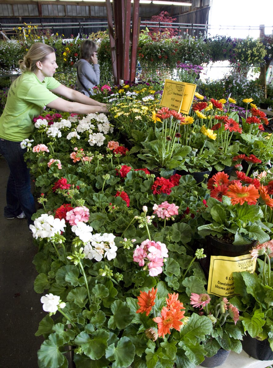 The Clark Public Utilities Home and Garden Idea Fair is today and Sunday at the Clark County Event Center at the Fairgrounds in Ridgefield.