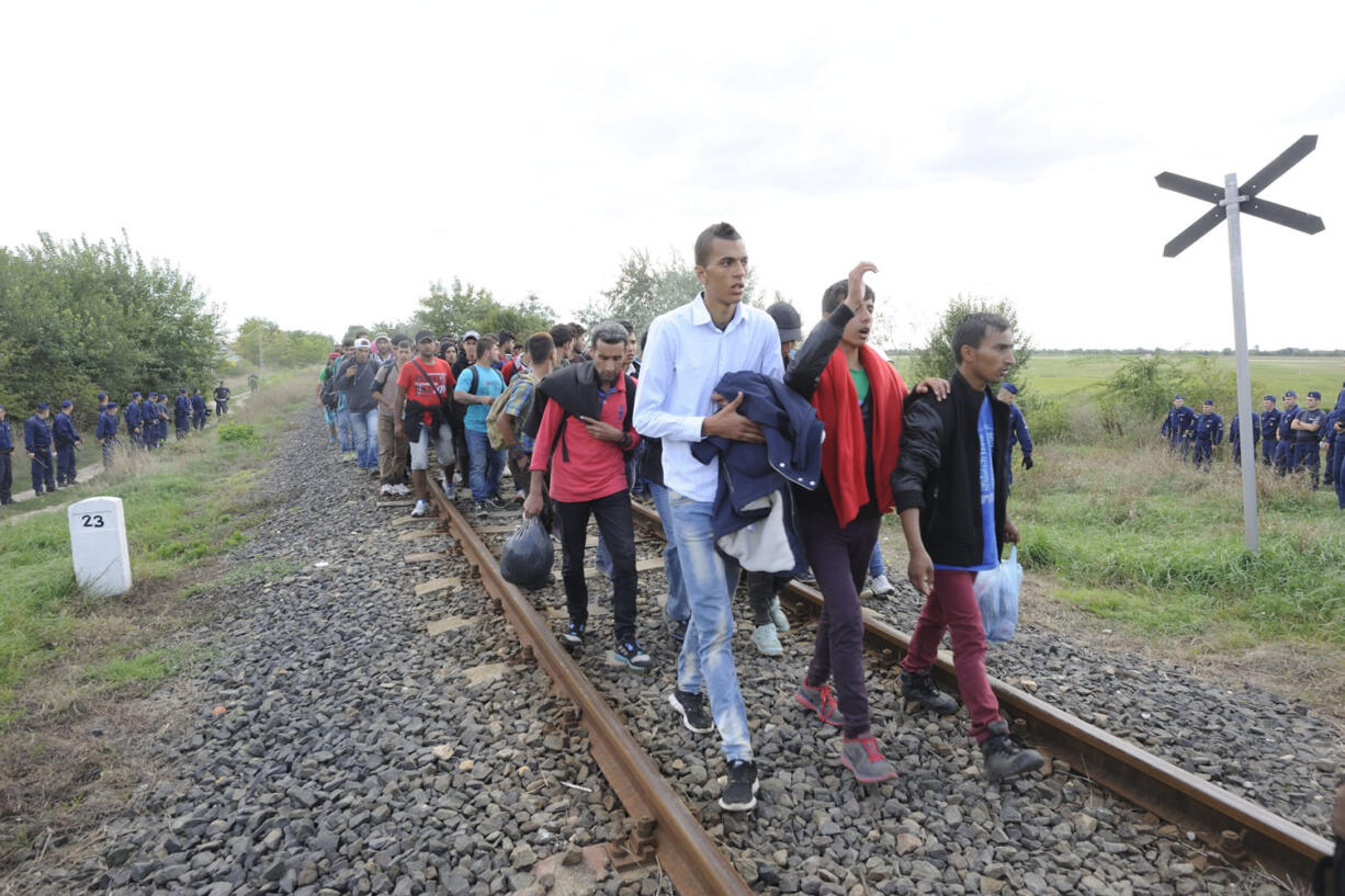 Migrants who left the police reception centre in Roszke in order to avoid being registered, are escorted by police near Szeged, 169 kms southeast from Budapest, Hungary, Tuesday, Sept. 8, 2015.