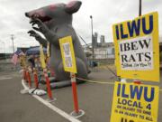 Late July or early August 2013: Union dockworkers introduce a new prop in their protest against United Grain: a 12-foot-tall inflatable rat.