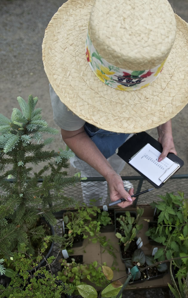 Master Gardner Foundation of Clark County volunteer Nancy Morgan checks people out at the Mother's Day Plant Sale at the 78th Street Heritage Farm.