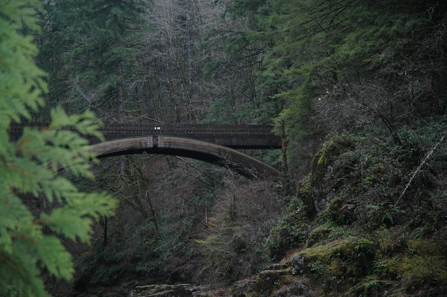 The trail along the East Fork of the Lewis River leads to Moulton Falls Regional Park.