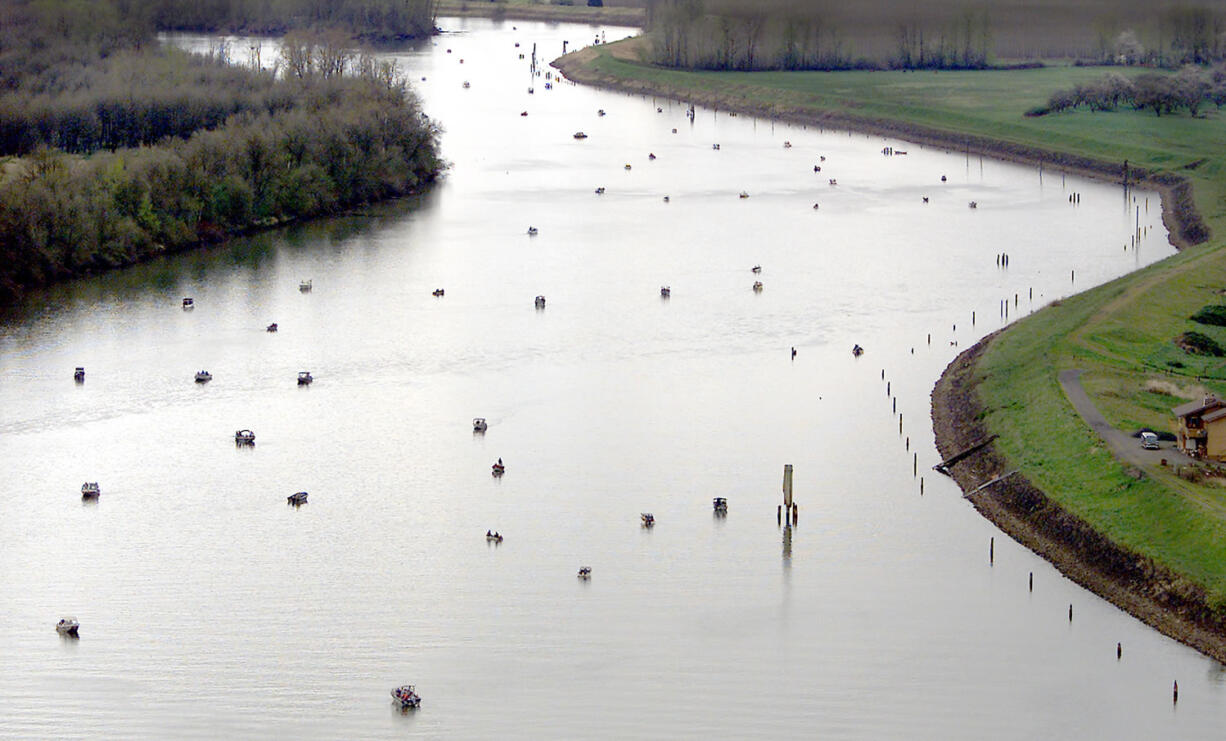 Plenty of Clark County anglers buy an out-of-state Oregon fishing license in order to pursue spring chinook the the Multnomah Channel of the Willamette River.