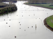 Plenty of Clark County anglers buy an out-of-state Oregon fishing license in order to pursue spring chinook the the Multnomah Channel of the Willamette River.