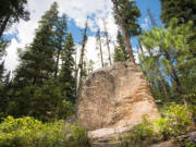 History Rock rises from the forest floor in Hyalite Canyon south of Bozeman, Mont.  Of all the great day hikes in Hyalite Canyon, the 2.4-mile round trip route to History Rock is one of the finest.