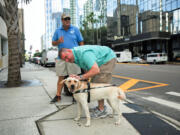 In this Aug. 18, 2015, photo provided by Southeastern Guide Dogs, Michael Jernigan strokes the head of his guide dog Treasure as he navigates the streets of Tampa, Fla., with Southeastern Guide Dogs training director Rick Holden. Jernigan lost his eyesight and part of his brain when a roadside bomb ripped into his Humvee in Iraq in 2004. He has undergone more than 30 surgeries. But he insists, thanks to a couple of dogs, he found more than he lost.