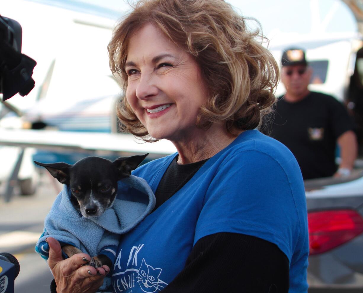 Volunteer Melanie Pozez loads rescued dogs into a Wings of Rescue plane to fly them to safe havens, at Van Nuys Airport, in Van Nuys, Calif.