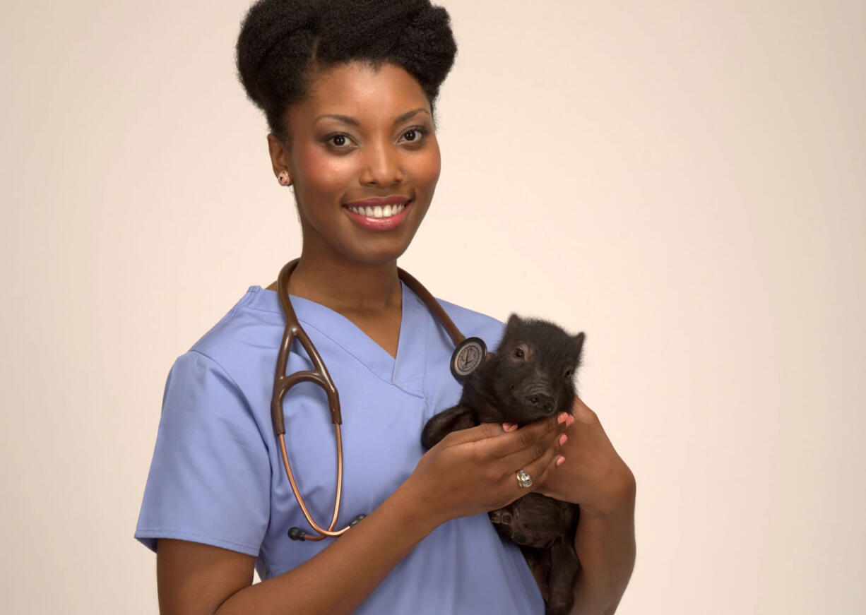 This July 29, 2015 photo provided by National Geographic Channels shows Aziza Glass, a doctor of veterinary medicine candidate at Cornell University, class of 2015, posing for a photo in Los Angeles. &quot;Vet School&quot; is a new Nat Geo Wild series that follows a group of students through rotations at prestigious Cornell University College of Veterinary Medicine. The one-hour show premieres Sept.