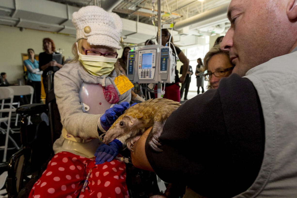 San Diego ZooKids ambassador Rick Schwartz shows Baba, a pangolin from the zoo, to children at Rady Children's Hospital in San Diego.