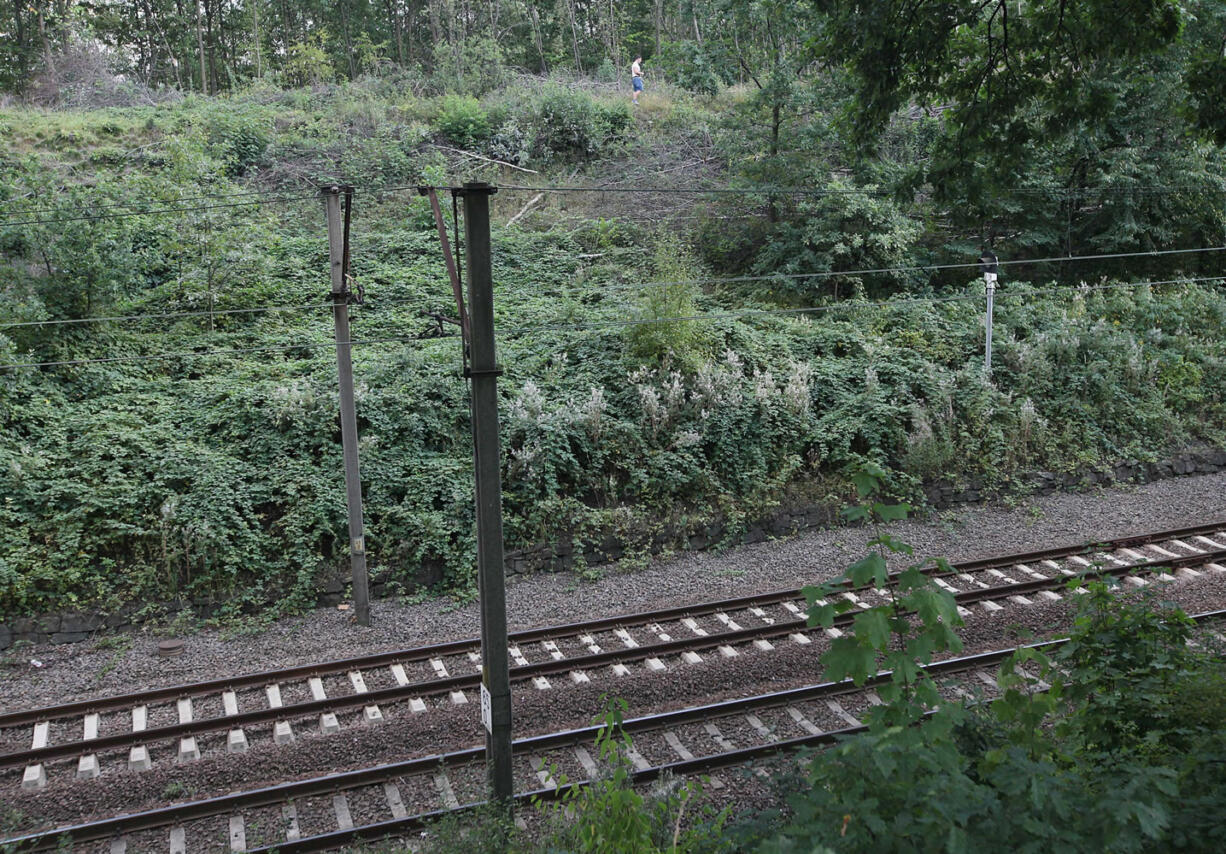 Plainclothed policemen, top, patrol over the site near a local train line, near to the alleged location where a Nazi train carrying gold and treasures is hidden in a collapsed tunnel near to Walbrzych, Poland, Tuesday, Sept. 1, 2015.  Polish authorities have secured the area to prevent treasure hunters and inquisitive local people from accessing the site, after reports were published alleging two men had found an armed train carrying valuables, that reportedly went missing in 1945.