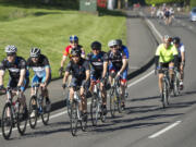 Cyclists make their way toward Lacamas Lake during the Vancouver Bicycle Club's Ride Around Clark County.