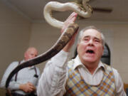 Associated Press files
Junior McCormick tests his faith by handling a rattlesnake as Homer Browing looks on in 1995 during services at the Church of the Lord Jesus in Kingston, Ga. Church members believe that if they have faith in God, they will be protected from harm as they handle the serpents.