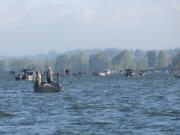 An estimated 11,000 to 12,000 anglers are expected to be on the lower Columbia River Saturday for the finale of the early spring chinook fishery.