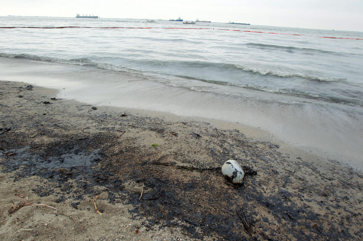 Waves crash into the shore as oil reaches the shoreline in Galveston.