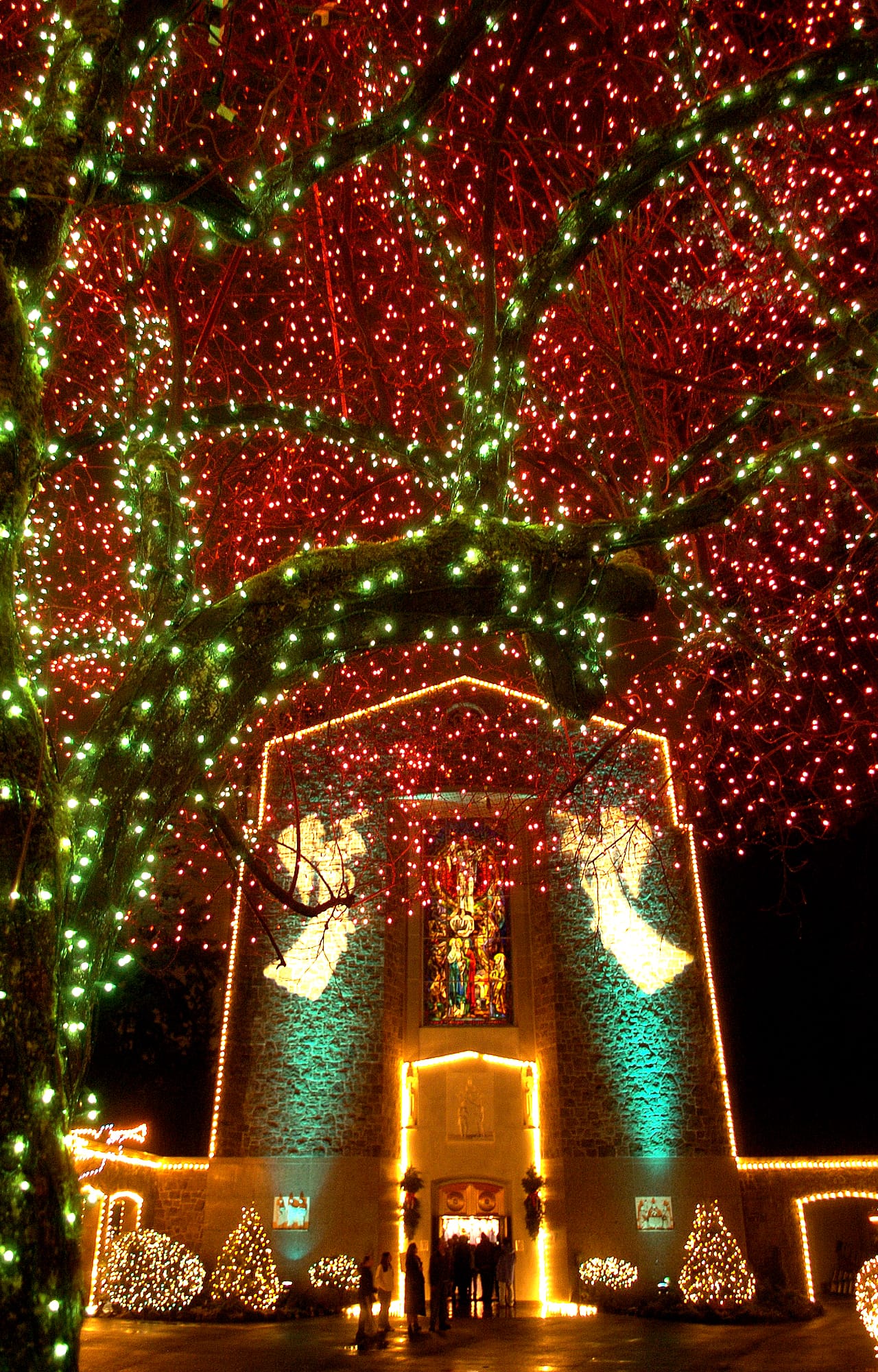 The Grotto's Christmas Festival of Lights will draw to a close Dec.