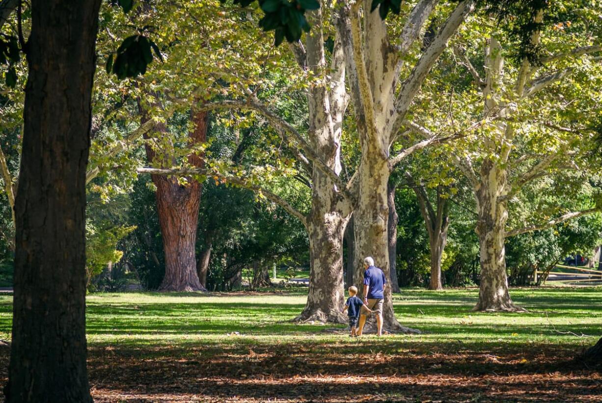 William Land Park, known to the locals as Land Park, in Sacramento, Calif., is 166 acres for strolling, picnicking, feeding ducks or taking a nap under one its massive trees.