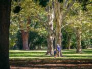 William Land Park, known to the locals as Land Park, in Sacramento, Calif., is 166 acres for strolling, picnicking, feeding ducks or taking a nap under one its massive trees.