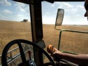 Joel Zwainz drives a combine as he harvests wheat Monday in Reardan.