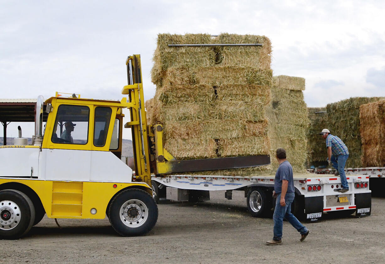 Jeremy Whittaker, left, and Shane Smith, of Culver, work at the hay collection site in John Day, Ore. In addition to rangeland lost, ranchers and ranching groups say hundreds of cows have perished and millions of dollars' worth of hay stacks and barns has gone up in flames.